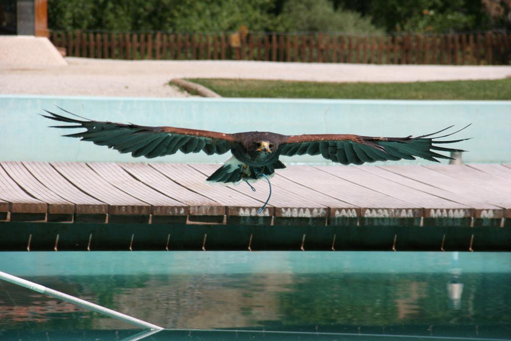 Quinta De La Barandica Pensionat Miranda do Douro Exteriör bild